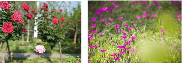 寶潤(rùn)達(dá)